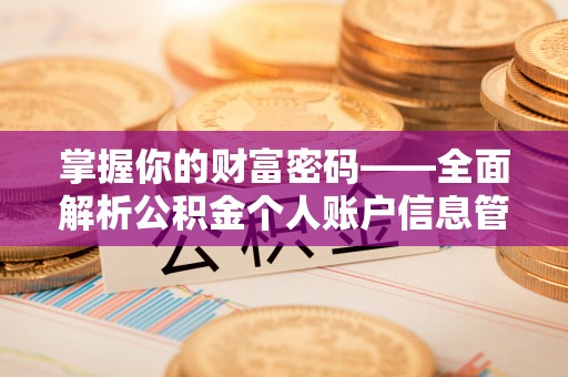 道外掌握你的财富密码——全面解析公积金个人账户信息管理与优化