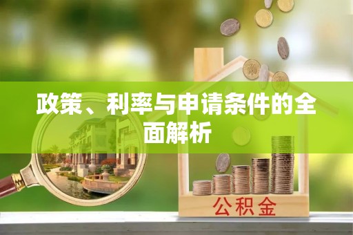 道外政策、利率与申请条件的全面解析