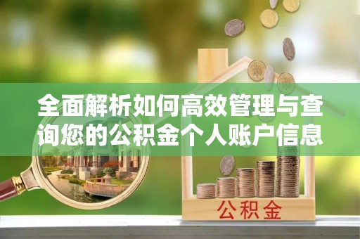 道外全面解析如何高效管理与查询您的公积金个人账户信息