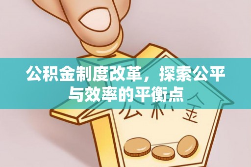 道外公积金制度改革，探索公平与效率的平衡点